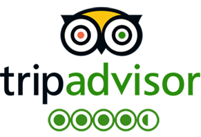Trip Advisor reviews