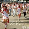 Run with the bulls...in New Orleans! Photo